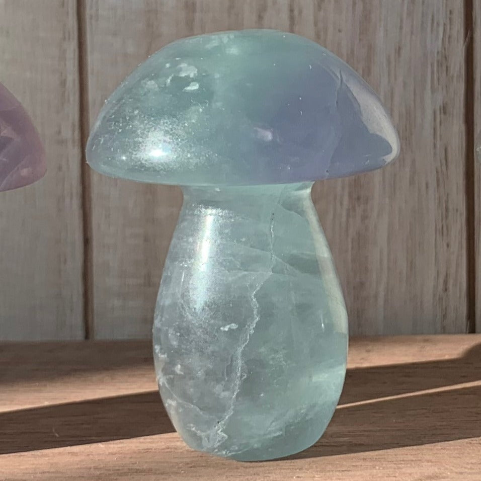 Fluorite Mushrooms (Small)
