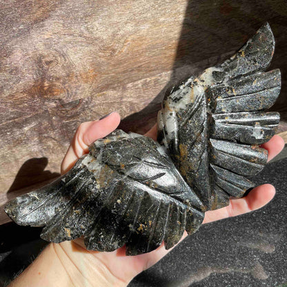 Black Tourmaline in Quartz Angel Wings Carving with Custom Stand // Small 8" w x 3.5" h