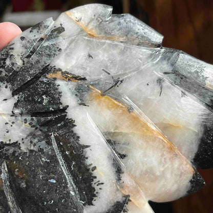 Black Tourmaline in Quartz Angel Wings Carving with Custom Stand // Large 11.75" w x 4.60" h