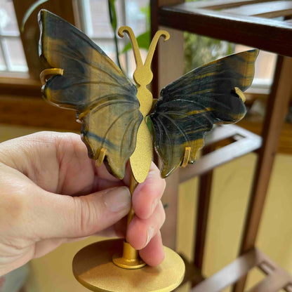 Butterfly Carving Wings with Custom Stand // Mixed Blue Tiger's Eye // Perfect Gift for Butterfly Lover!