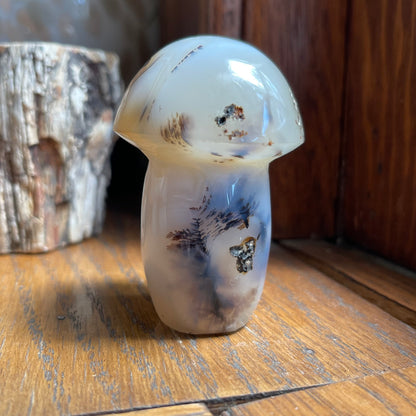 Agate Mushrooms