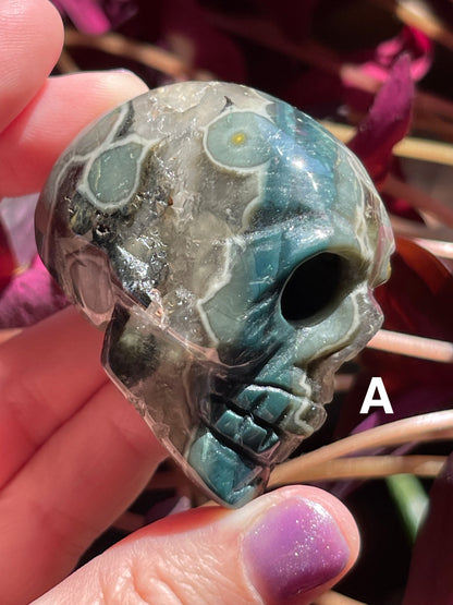 Ocean Jasper Skulls // High-Quality with Druzy Pockets