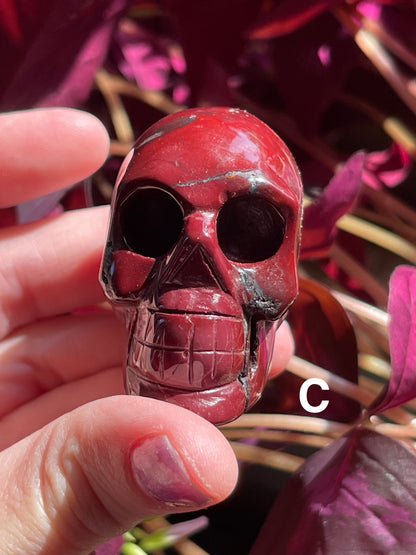 Mookaite Jasper Skulls