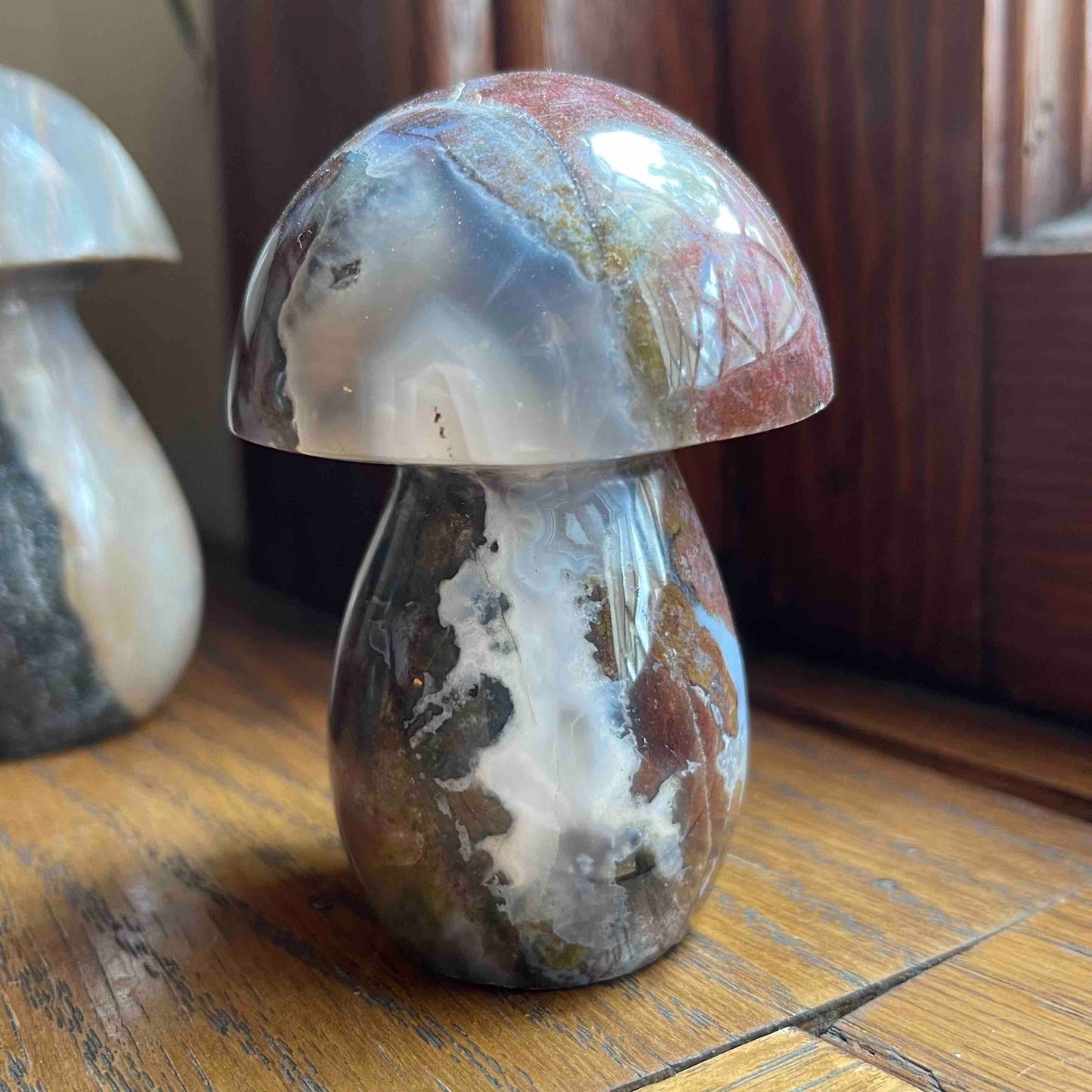 Ocean Jasper Mushrooms