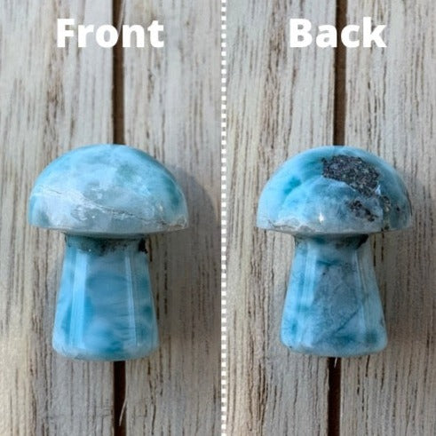 Rare Larimar Mushrooms