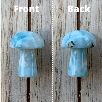 Rare Larimar Mushrooms