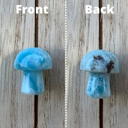 Rare Larimar Mushrooms