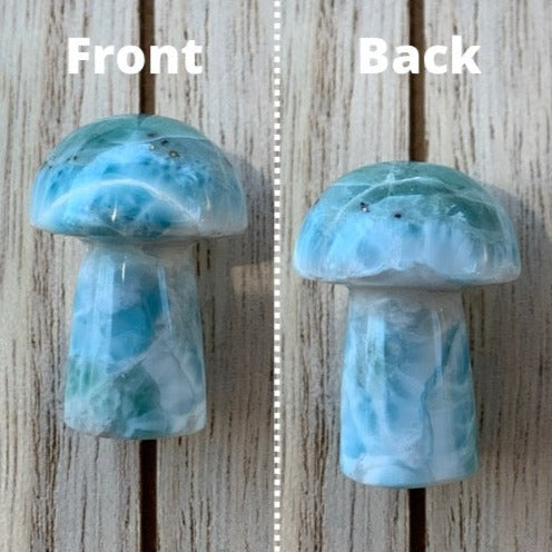 Rare Larimar Mushrooms