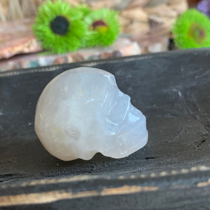 Blue Rose Quartz Skulls