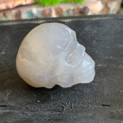 Blue Rose Quartz Skulls