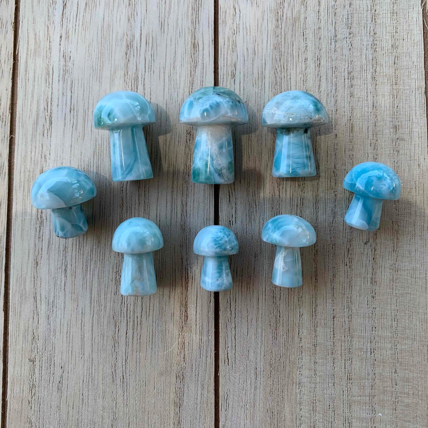 Rare Larimar Mushrooms