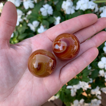 Banded Carnelian Spheres - 30mm