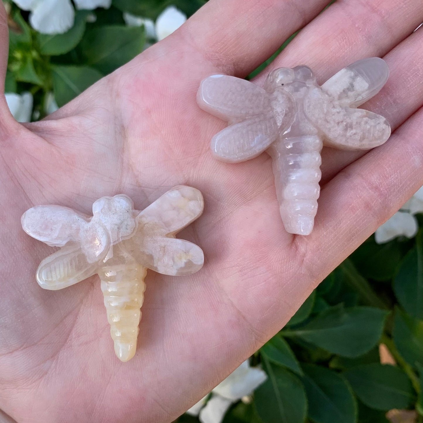 Pink Flower Agate Dragonflies