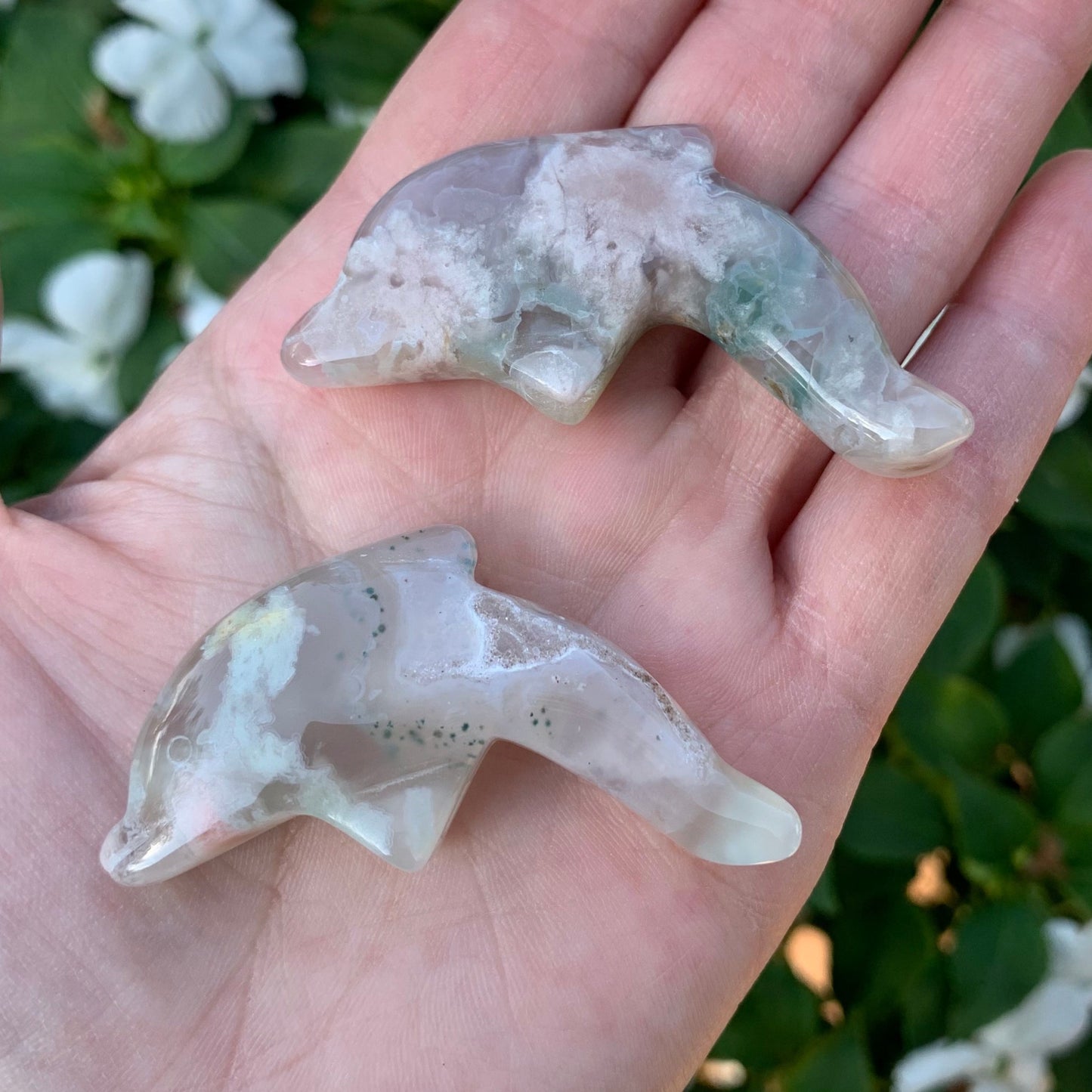 Flower Agate Dolphins