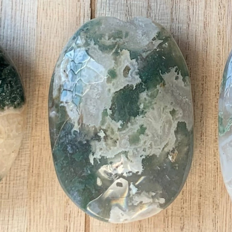 Moss Agate Palm Stones