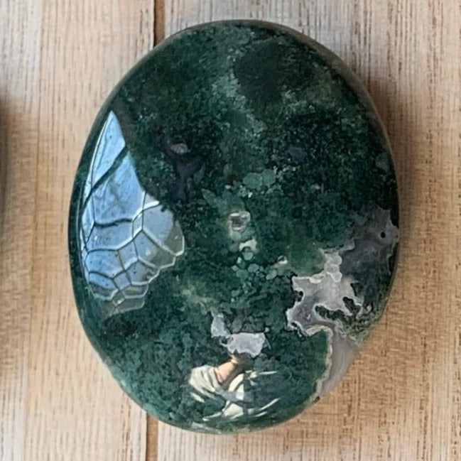 Moss Agate Palm Stones