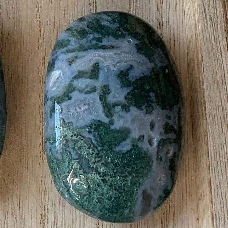 Moss Agate Palm Stones