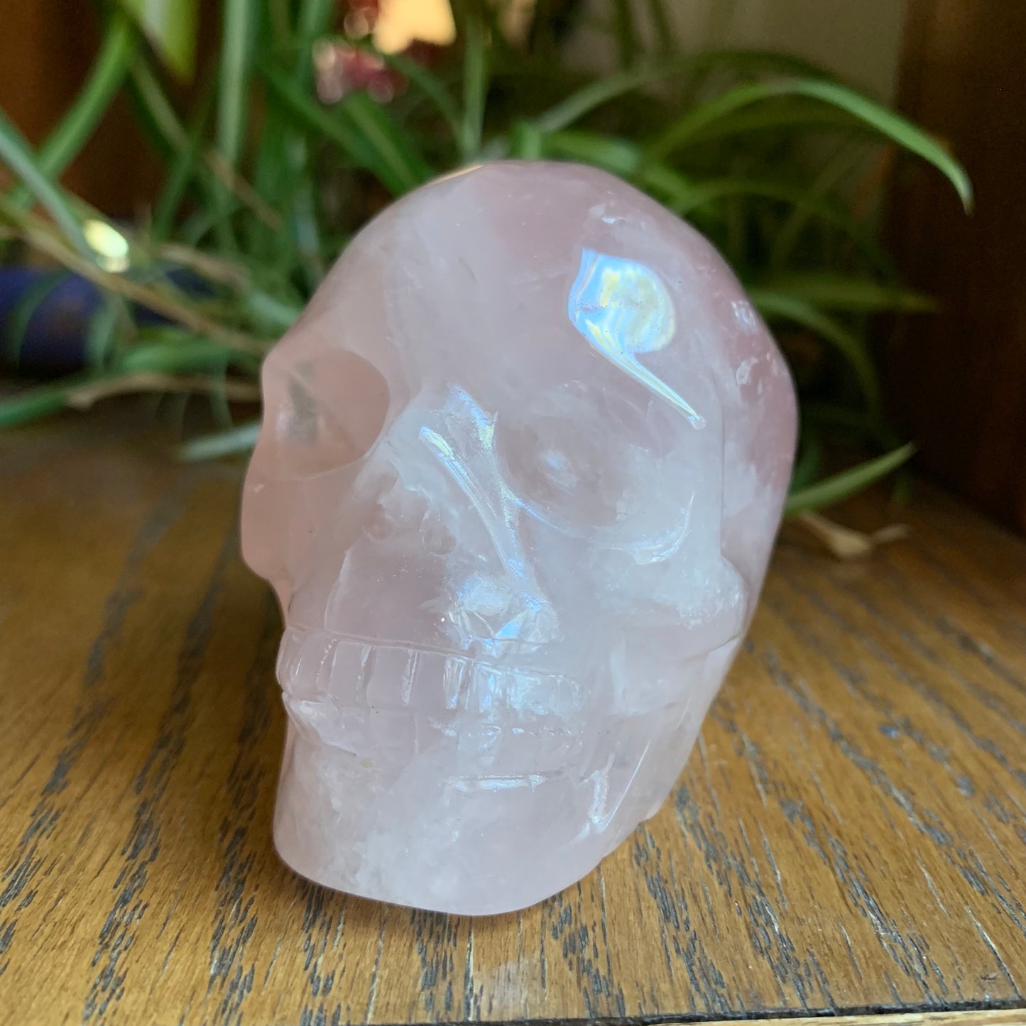 Rose Quartz Skull