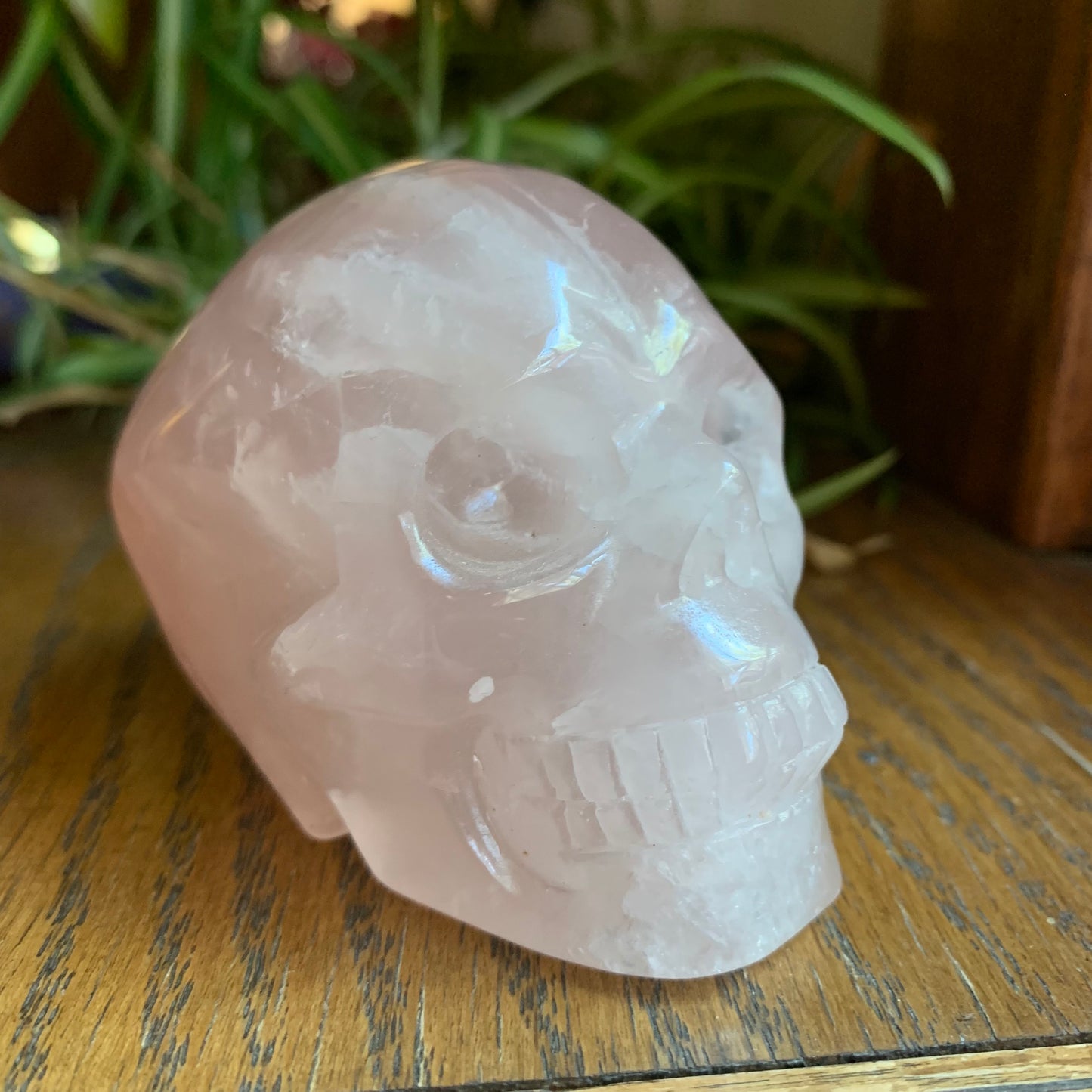 Rose Quartz Skull