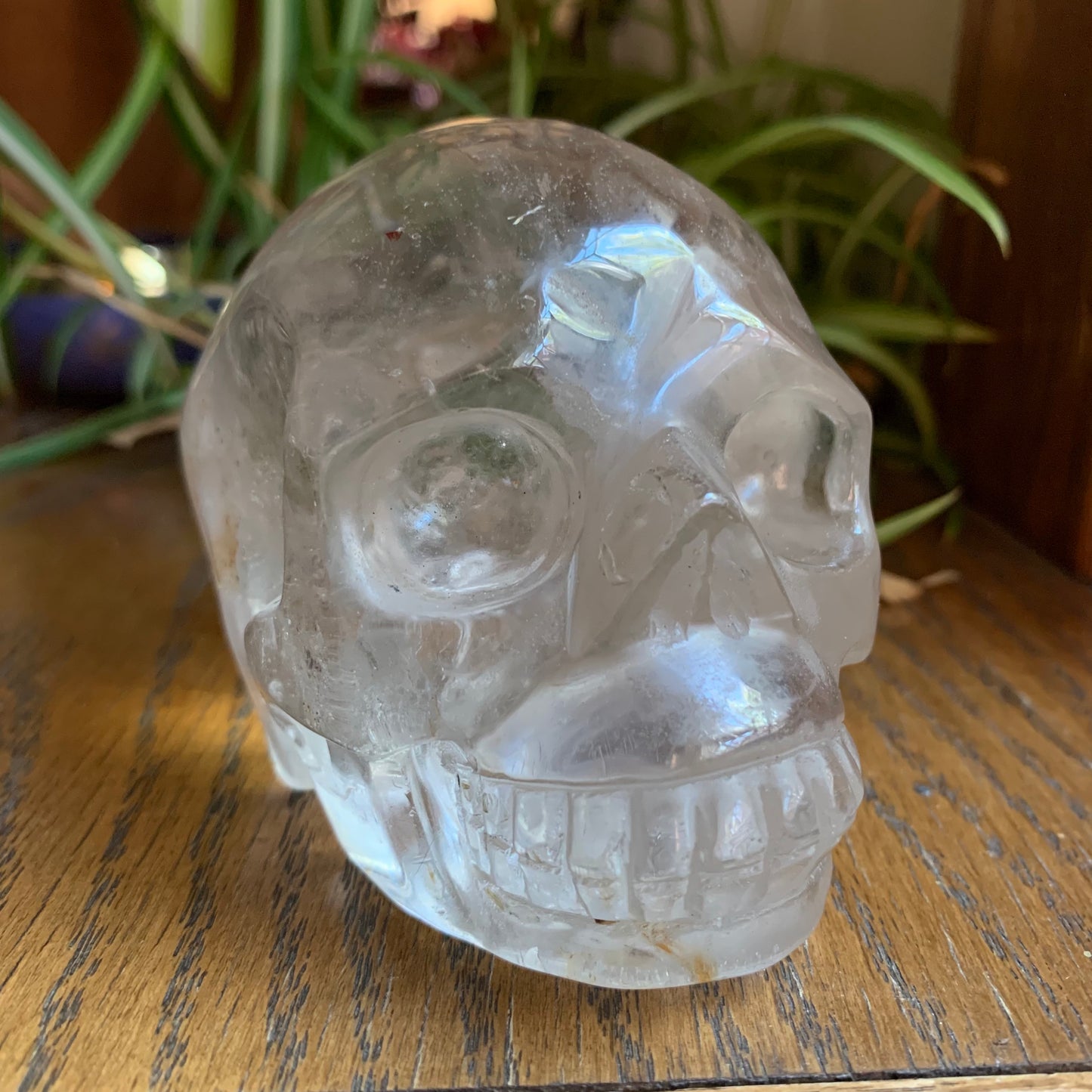 Clear Quartz Skull