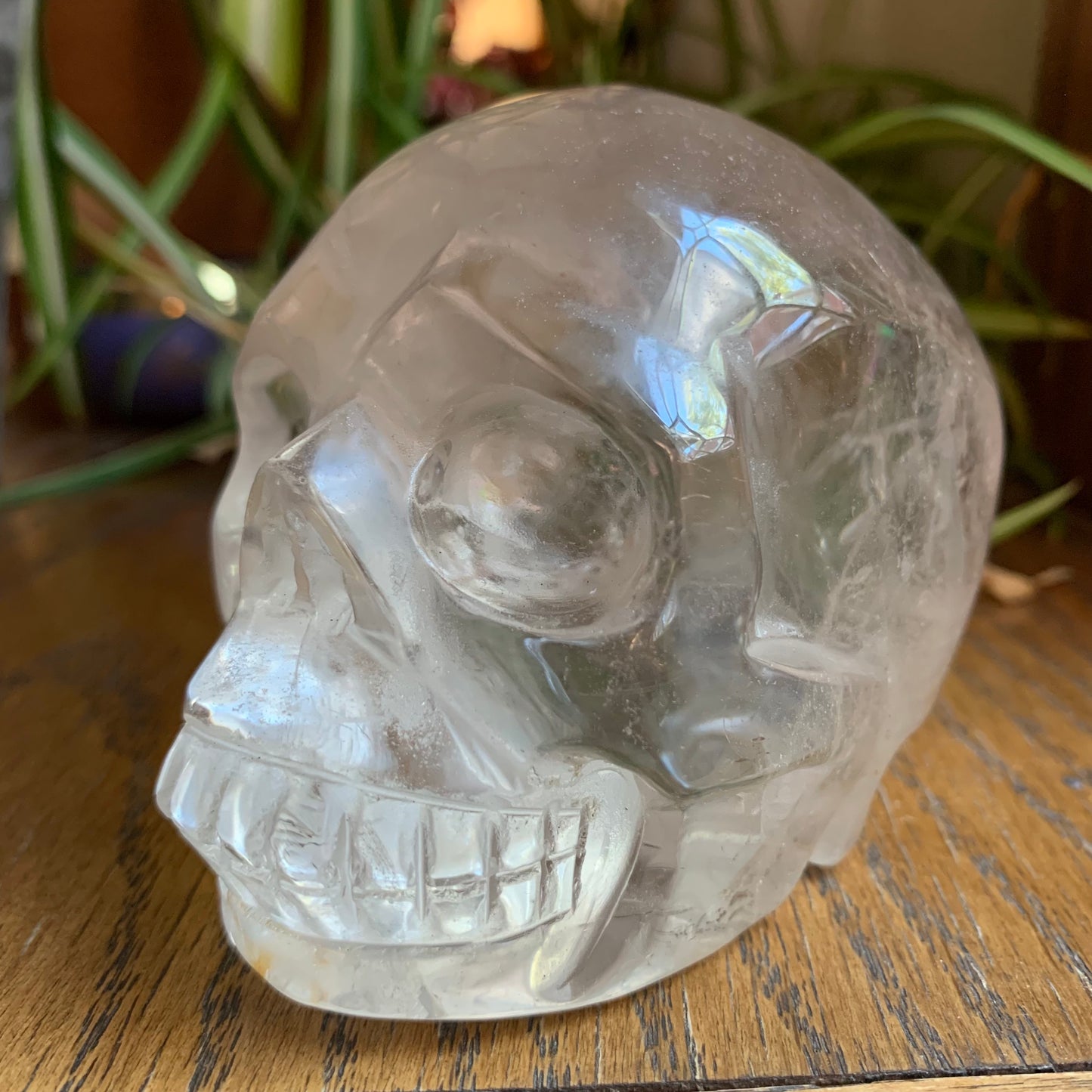 Clear Quartz Skull