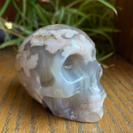 Black Flower Agate Skull