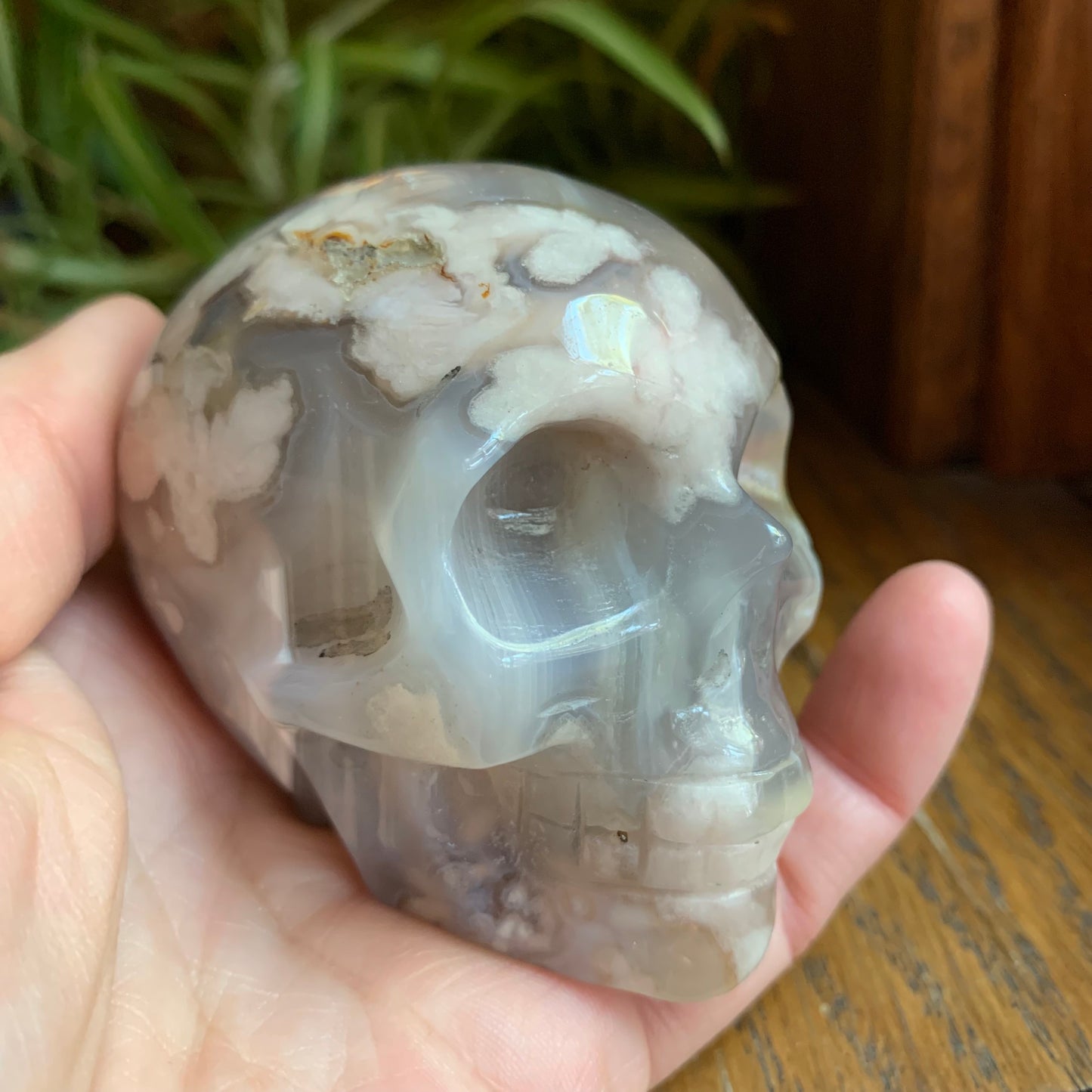 Black Flower Agate Skull