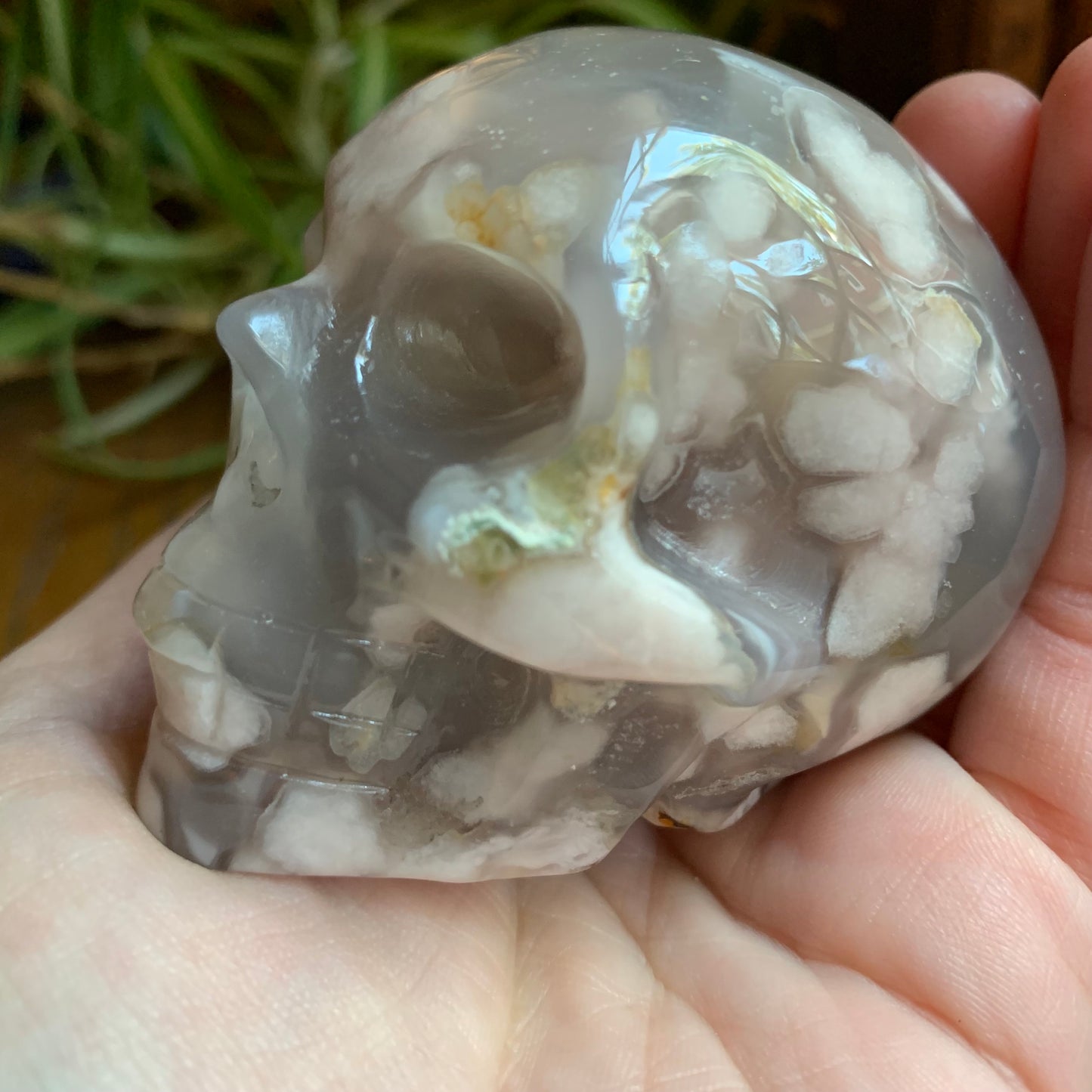 Black Flower Agate Skull