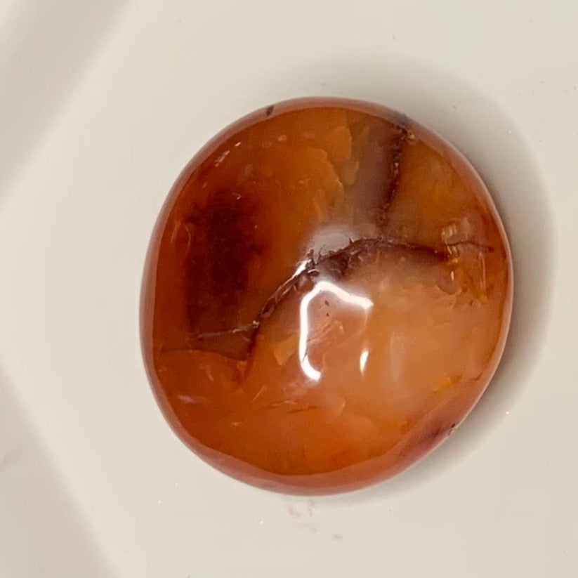 Carnelian Palm Stones + Eggs