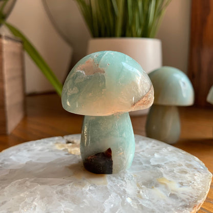 Caribbean Calcite Mushrooms