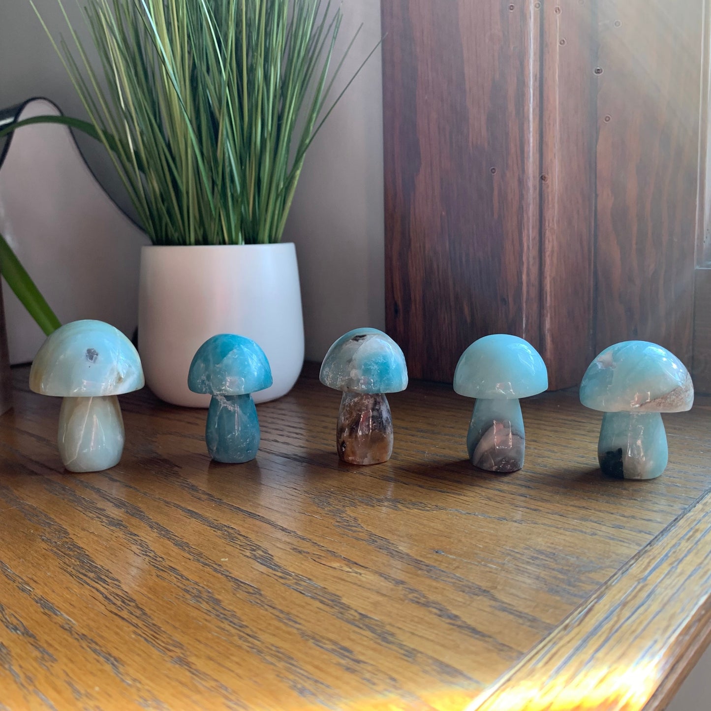 Caribbean Calcite Mushrooms