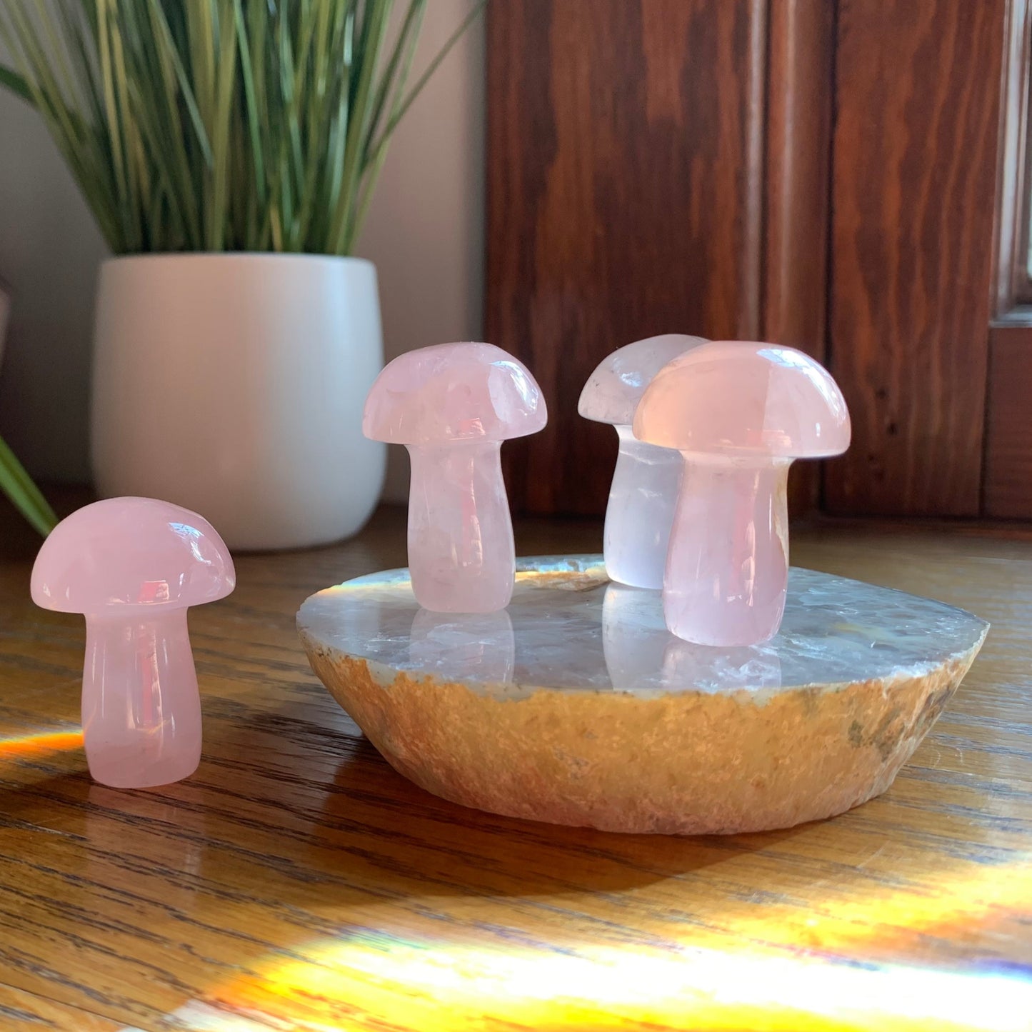 Rose Quartz Mushrooms