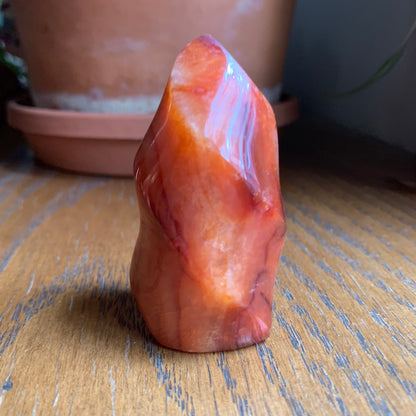 Carnelian Flames