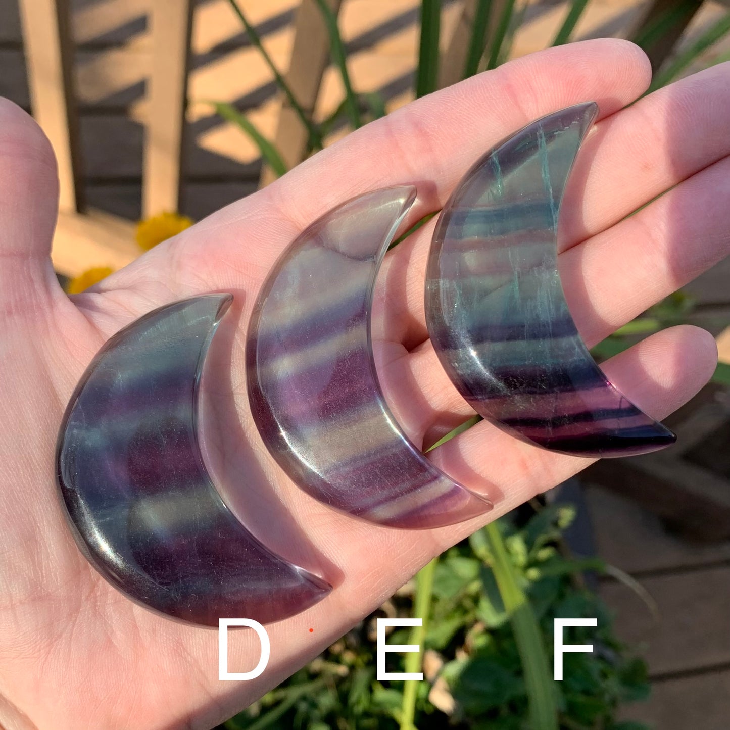 Rainbow Fluorite Moons // Purple + Blue Banding