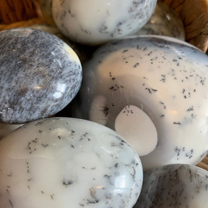 Dendritic Agate Palm Stones