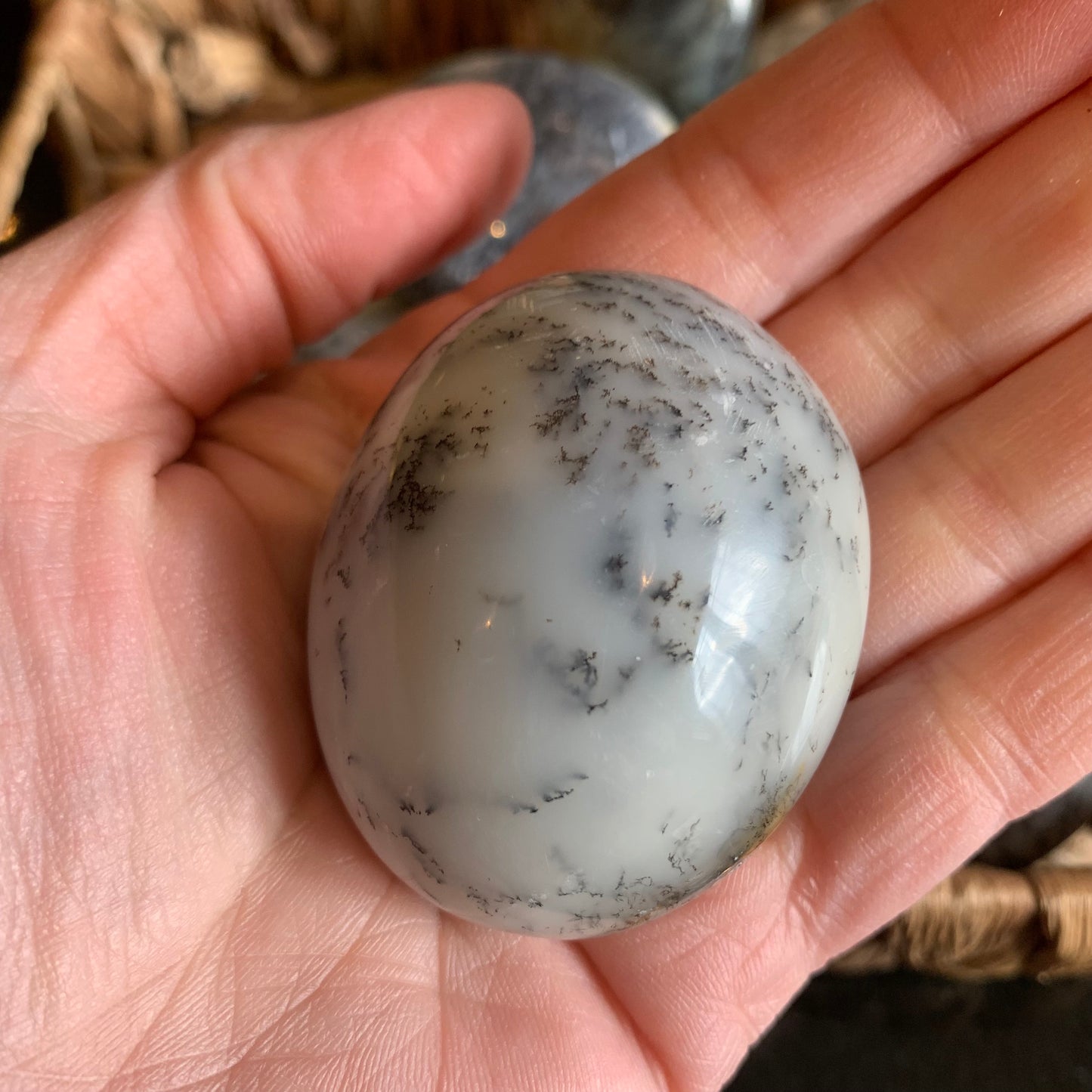 Dendritic Agate Palm Stones