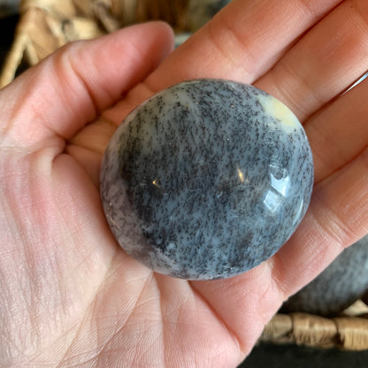 Dendritic Agate Palm Stones