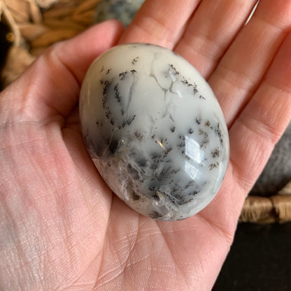 Dendritic Agate Palm Stones