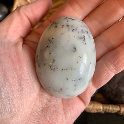 Dendritic Agate Palm Stones