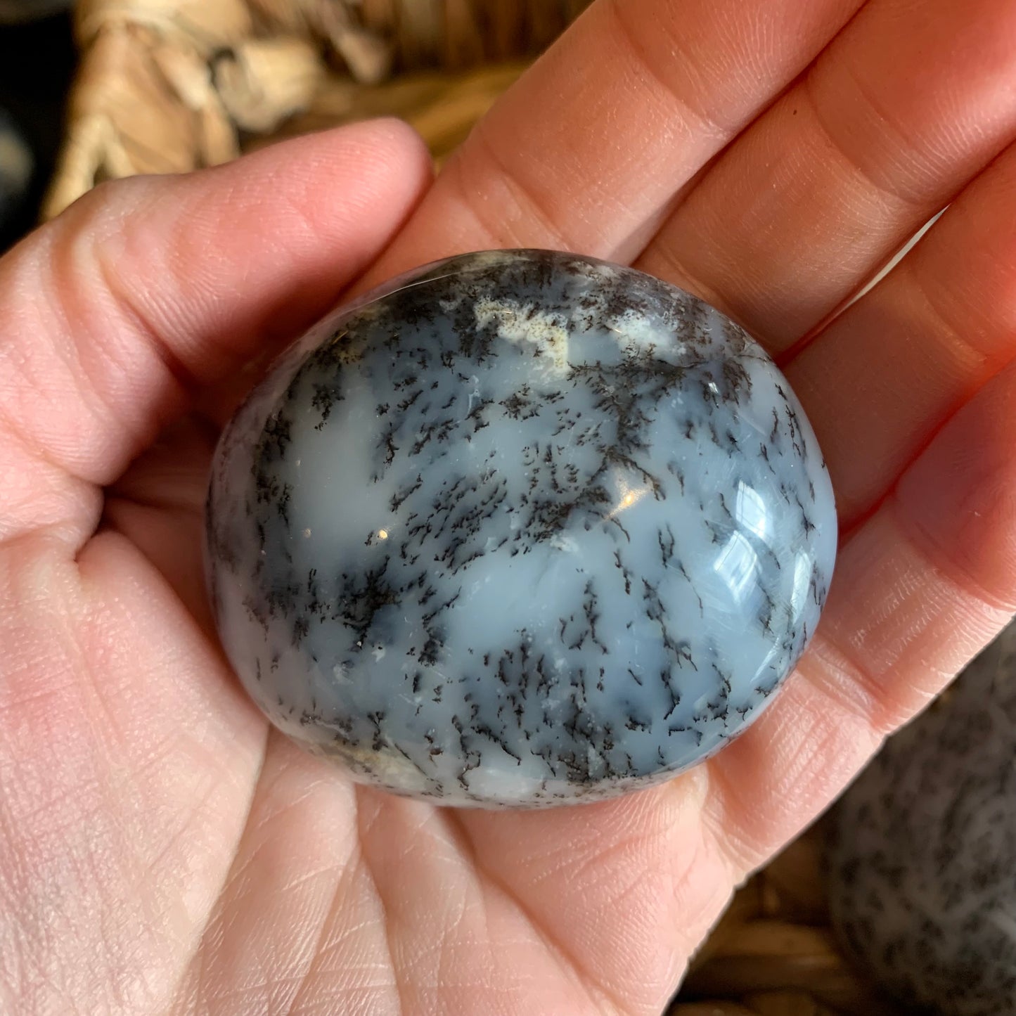 Dendritic Agate Palm Stones