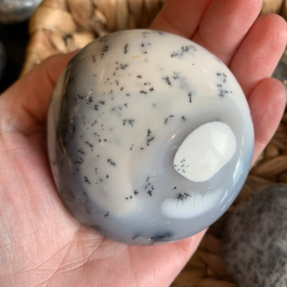 Dendritic Agate Palm Stones