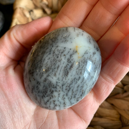 Dendritic Agate Palm Stones