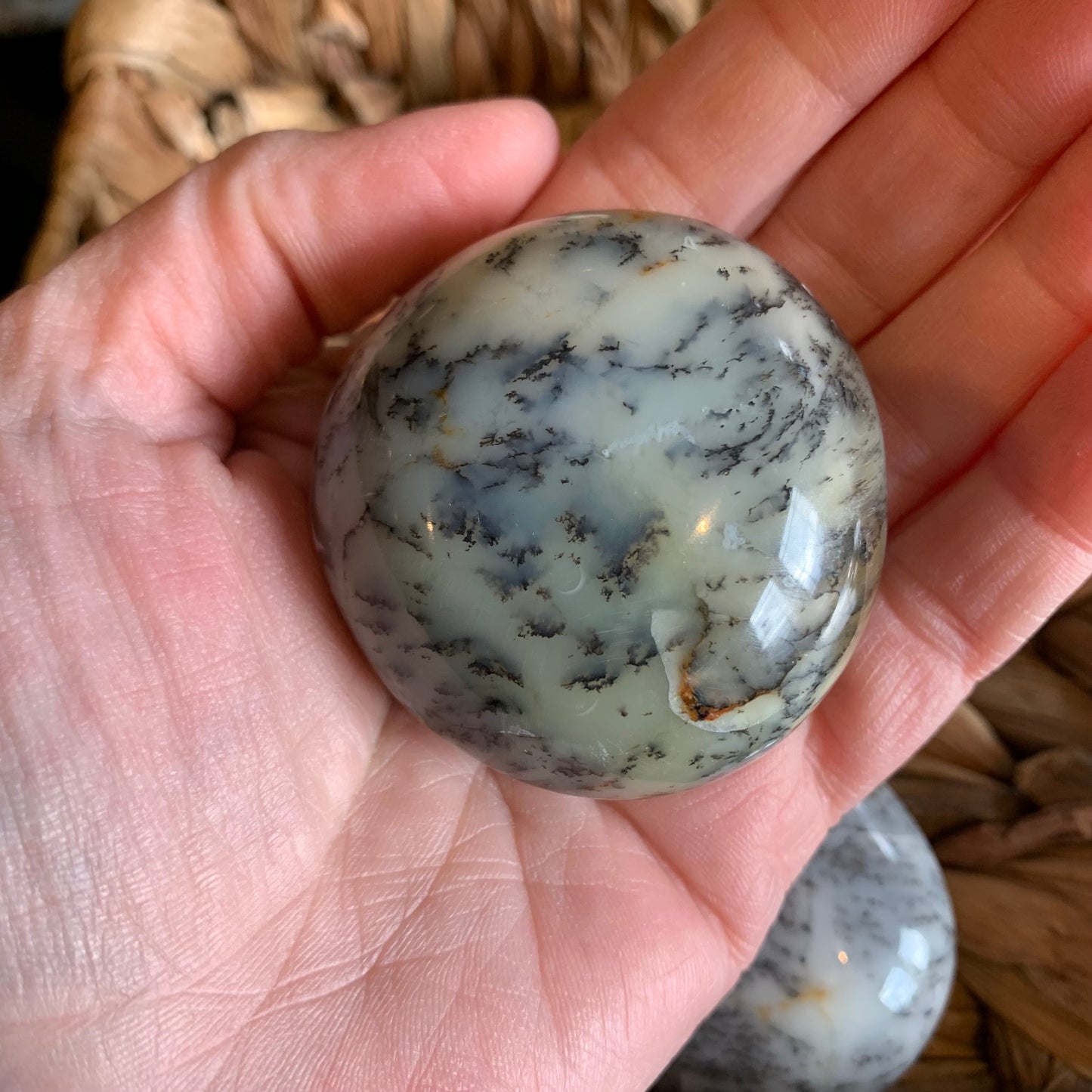 Dendritic Agate Palm Stones