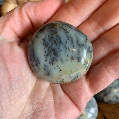 Dendritic Agate Palm Stones