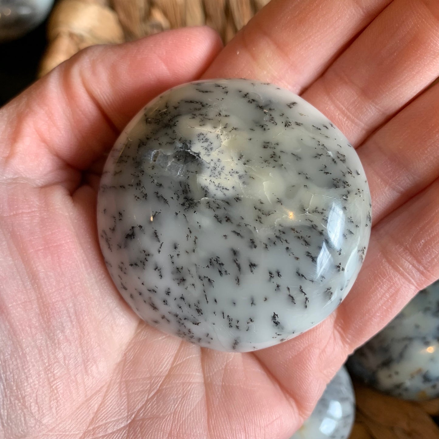 Dendritic Agate Palm Stones