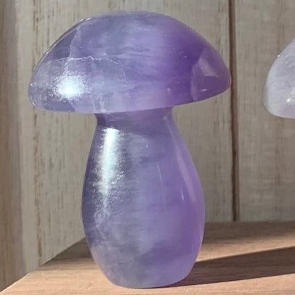 Fluorite Mushrooms (Small)