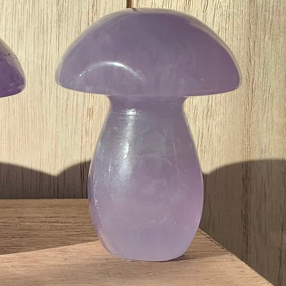 Fluorite Mushrooms (Small)