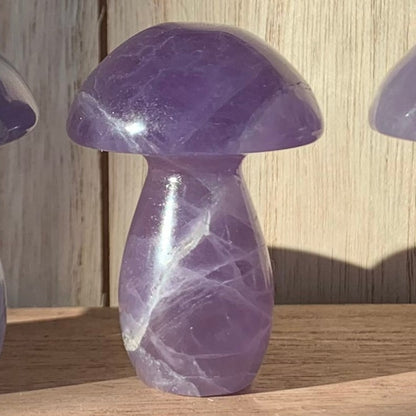 Fluorite Mushrooms (Small)