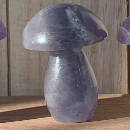 Fluorite Mushrooms (Small)