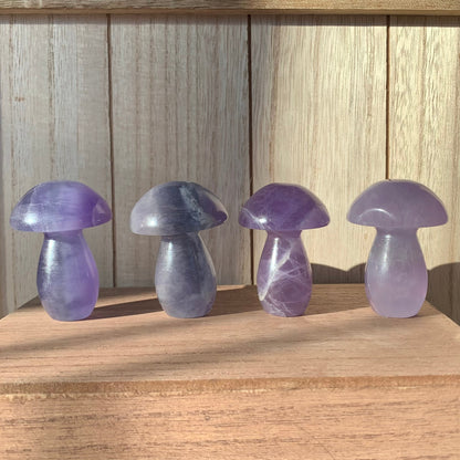 Fluorite Mushrooms (Small)